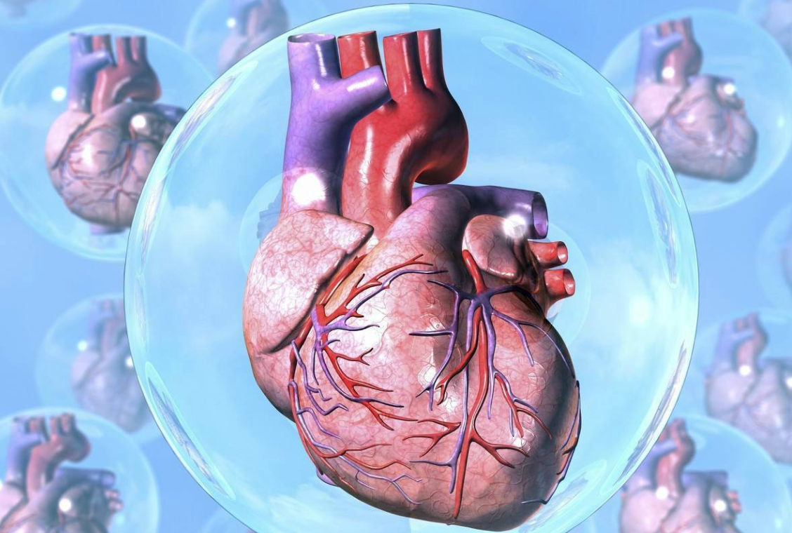  冠心病的康復(fù)護(hù)理常規(guī)與發(fā)病的危險(xiǎn)因素有哪些