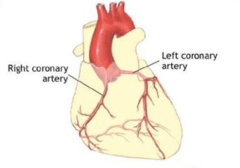 冠心病如何康復(fù)治療