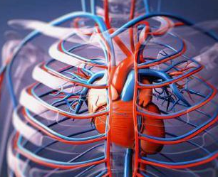 心臟病的相關檢查有哪些