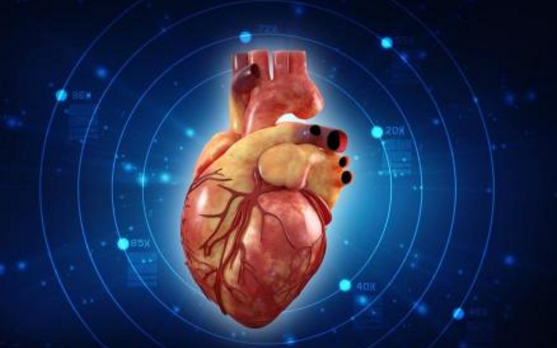 動脈硬化 心腦共同“挑戰(zhàn)”