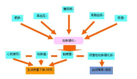 動(dòng)脈粥樣硬化和冠狀動(dòng)脈粥樣硬化