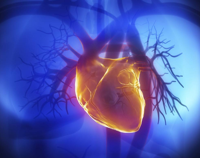 心律失常從病因到治療的內(nèi)容