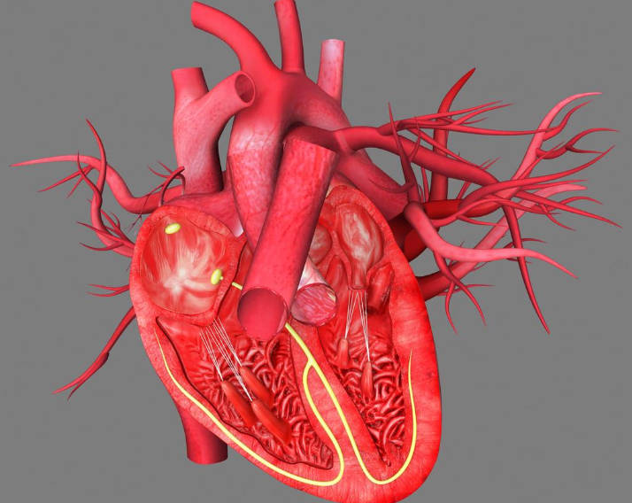 心律失常與心臟性暈厥是什么病