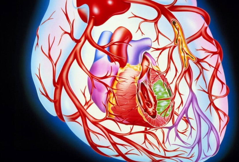 有哪些預(yù)防冠心病的方法