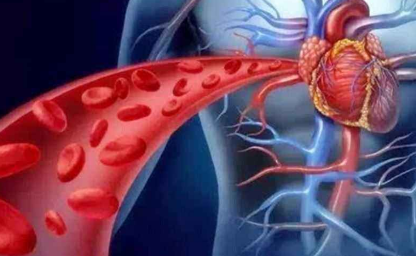 先天性心臟病預(yù)防從哪開(kāi)始