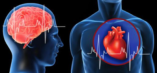 醫(yī)療體操 讓動(dòng)脈硬化變“軟”