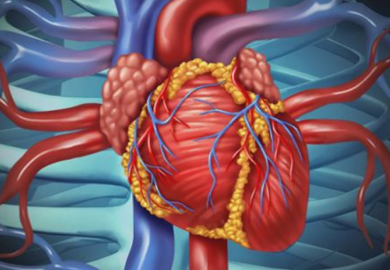 肢體動(dòng)脈硬化閉塞癥的臨床表現(xiàn)