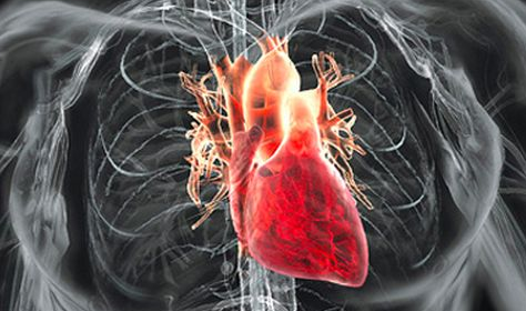心臟病的飲食調(diào)理