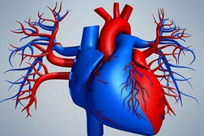 解析心臟病晚期癥狀