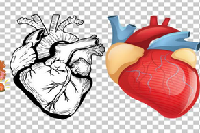 心臟搭橋手術(shù)前要做什么檢查