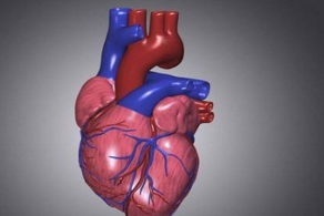 引起心律不齊的原因有哪些