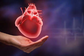 診斷風(fēng)濕性心臟病的關(guān)鍵是什么