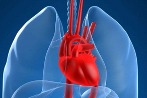 心臟病康復(fù)的運(yùn)動(dòng)療法