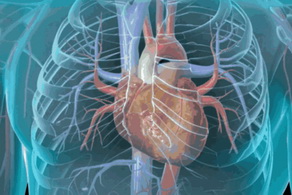 患有冠心病應重視護理