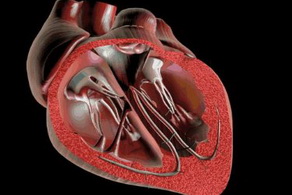 冠心病的早期癥狀征兆