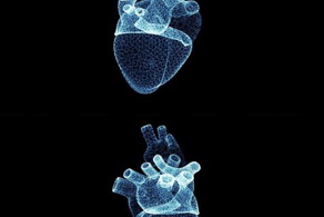 有心臟病的高血壓病人如何運動最好