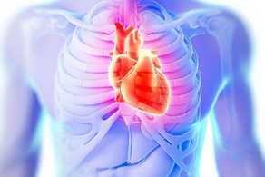 心臟病的預(yù)防方法有哪些