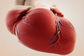 預(yù)防冠心病需要做什么