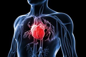 風濕性心臟病的心臟體征有哪些