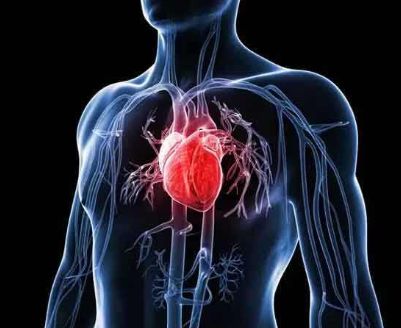 風(fēng)濕性心臟病會(huì)引起心力衰竭嗎