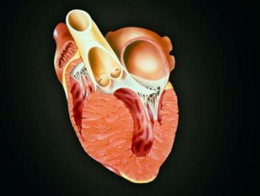 風(fēng)濕性心臟病幾款臨床常用藥