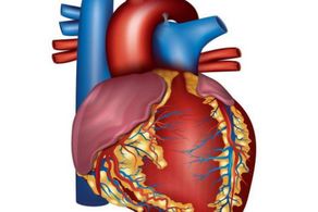 3個(gè)改變保心臟健康