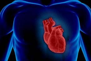 控制冠心病的關(guān)鍵在預(yù)防