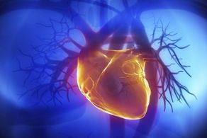 不可不知冠心病飲食禁忌 預(yù)防冠心病吃什么比較好