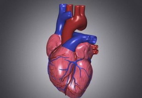 先天性心臟病會(huì)帶來哪些危害