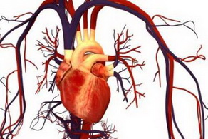 心臟病患者飲食注意事項(xiàng)