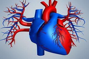 心臟病癥狀有哪些