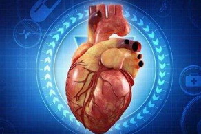 怎么預(yù)防心臟病