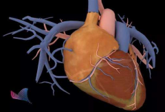 心衰的診斷方式有哪些？