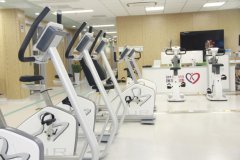  輕型冠心病的病因